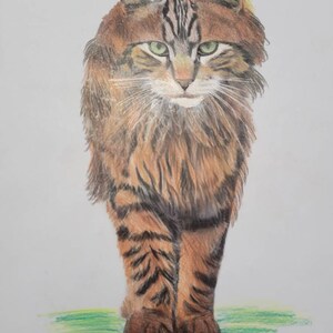 Sheri ha aggiunto una foto del proprio acquisto