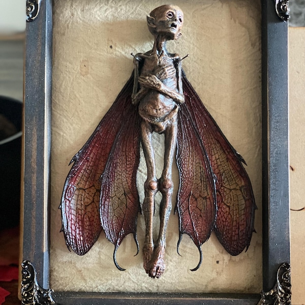 Mummified Dead Fairy Shadow Box – Cryptid Specimen, Gothic Curiosity ...