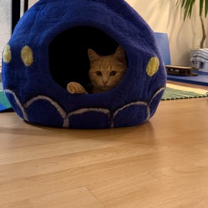 Sima added a photo of their purchase