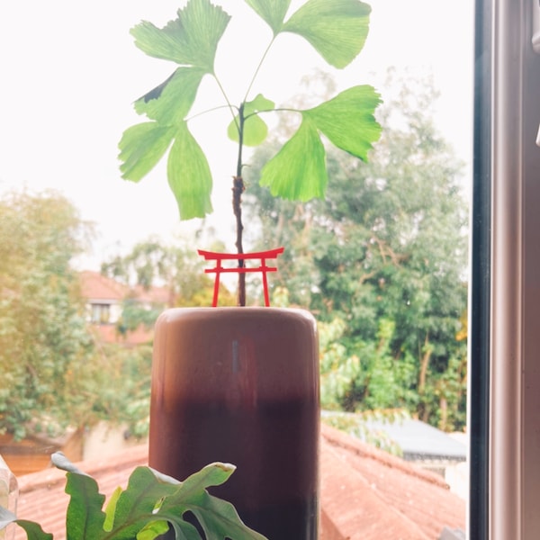 Asian Inspired Shibari Harness Robe Jacket • Backless Kimono • Chinese ...