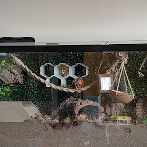 Haley hat ein Foto des gekauften Artikels hinzugefügt