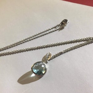 Lamonica added a photo of their purchase