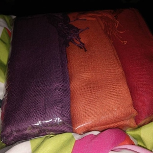 champagne pashmina shawl