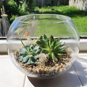 Maddy added a photo of their purchase