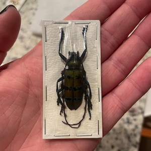 Lindsay added a photo of their purchase