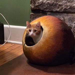 Kate added a photo of their purchase