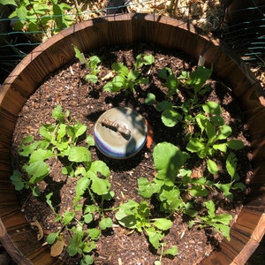 Ki ha añadido una foto de su compra