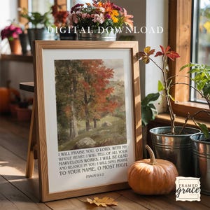 Papande added a photo of their purchase