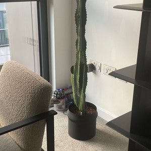 vanessa added a photo of their purchase