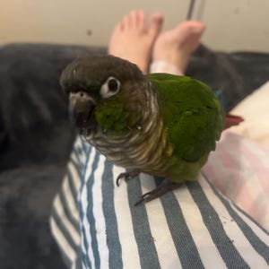 Brandi added a photo of their purchase