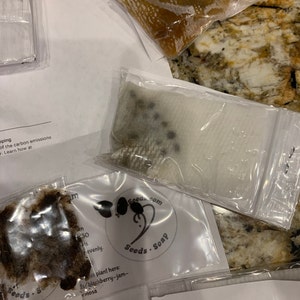 Taniya added a photo of their purchase