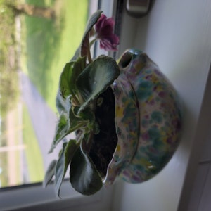 missy added a photo of their purchase