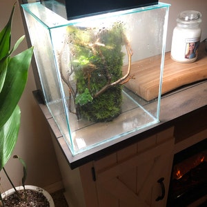 Pepper a ajouté une photo de son achat