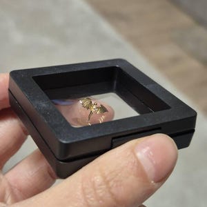 Justine added a photo of their purchase