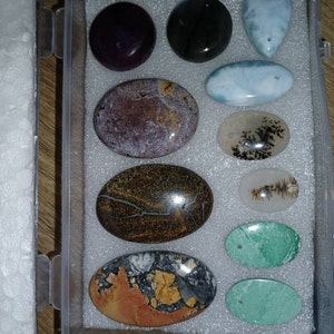 Barbara added a photo of their purchase