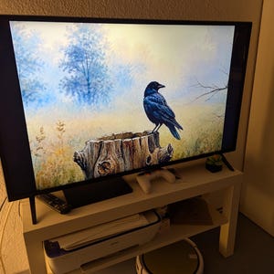 Anthony heeft een foto van de aankoop toegevoegd