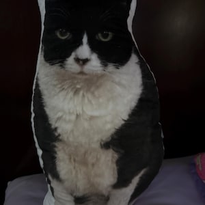 Andrea added a photo of their purchase