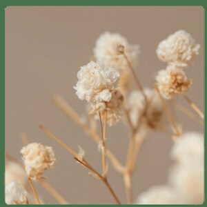 Ricardo added a photo of their purchase