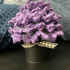 Melissa added a photo of their purchase