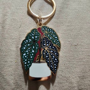 Utilisateur inactif a ajouté une photo de son achat