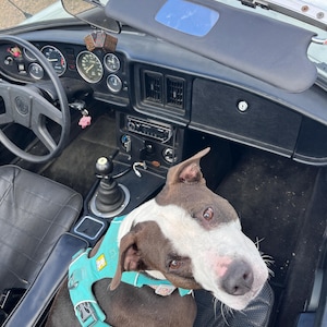 Matt hat ein Foto des gekauften Artikels hinzugefügt