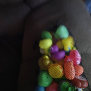 Lynne added a photo of their purchase