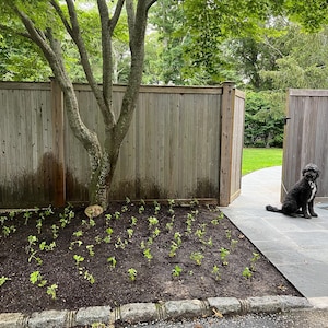 Kim adicionaram uma foto da sua compra