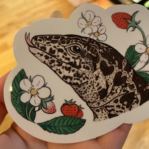 Hognose Snake Dramatic Playing Dead Funny Reptile Vinyl Sticker - Etsy