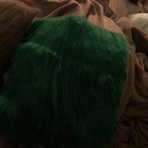 Lily added a photo of their purchase
