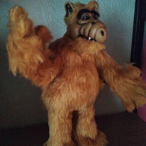 Steffen added a photo of their purchase