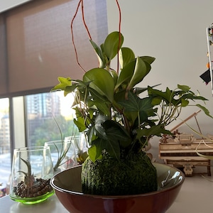 Comprador de Etsy ha añadido una foto de su compra