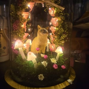 Catorina さんが購入した商品の写真を追加しました