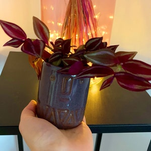 Mrs. added a photo of their purchase