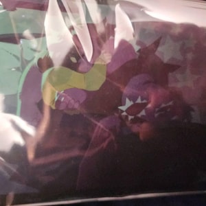 Valentino added a photo of their purchase