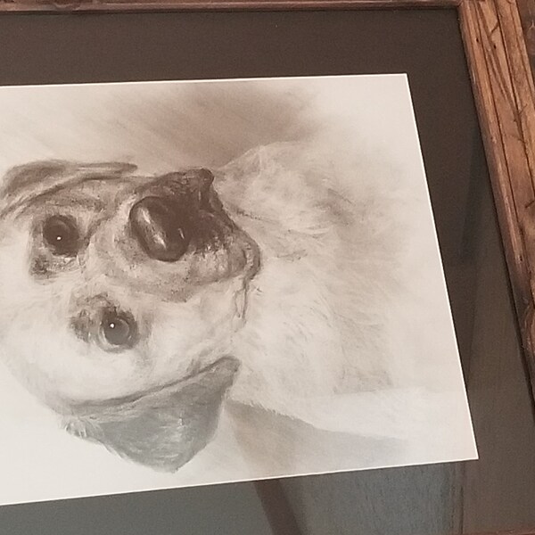 Custom Pet Portraits Using Pet Photo Personalized Hand Drawn Dog ...