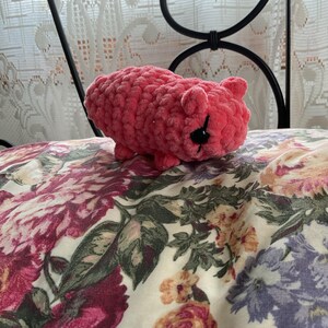 Kiwi added a photo of their purchase