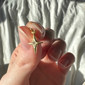 Ashley added a photo of their purchase