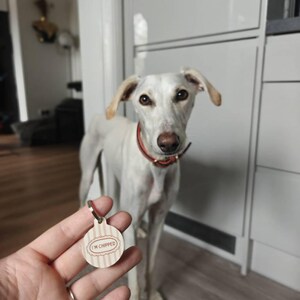 Deme-Daisy ha aggiunto una foto del proprio acquisto