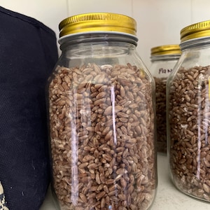 Inoculate and Wait® Brown Rice Flour Based Mushroom Substrate - Etsy