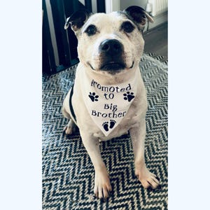 Amy added a photo of their purchase
