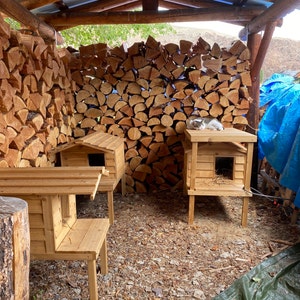 Debra added a photo of their purchase