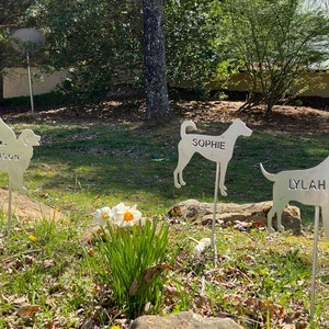 Katherine lade till en bild av sitt köp