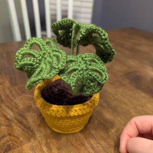 Alicia added a photo of their purchase