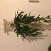 MSLSOZ Makramee-Pflanzenaufhänger, Baumwollseil, 2 Stück, Bohemian-Stil, für drinnen und draußen, hängende Pflanzgefäße, dekorative Deckenpflanzenhalter MSLSOZ Makramee-Pflanzenaufhänger, Baumwollseil, 2 Stück, Bohemian-Stil, für drinnen und draußen, hängende Pflanzgefäße, dekorative Deckenpflanzenhalter