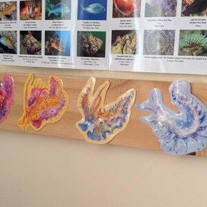 Jess ha añadido una foto de su compra