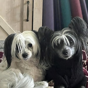 Barbara added a photo of their purchase