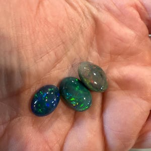 Bridgette adicionaram uma foto da sua compra