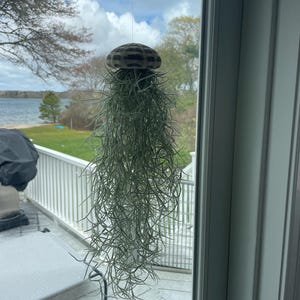 Kristin added a photo of their purchase
