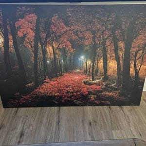 Douglas ha añadido una foto de su compra