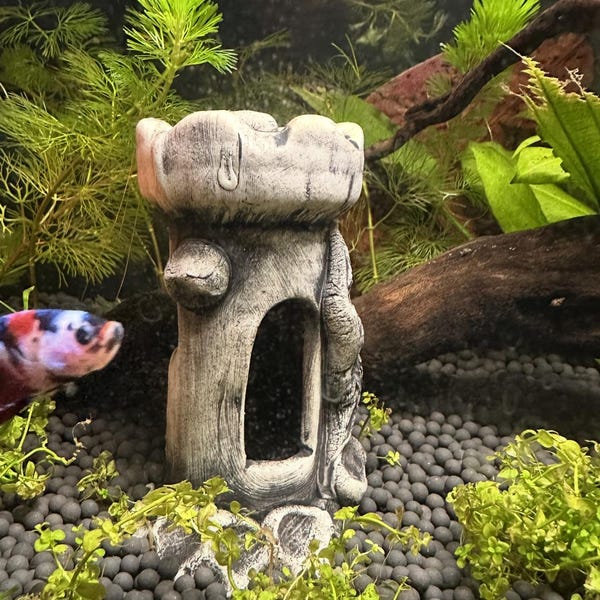 Fish Tank Accessories Fish Tank Ornaments Fish Tank Décor Aquarium — free download